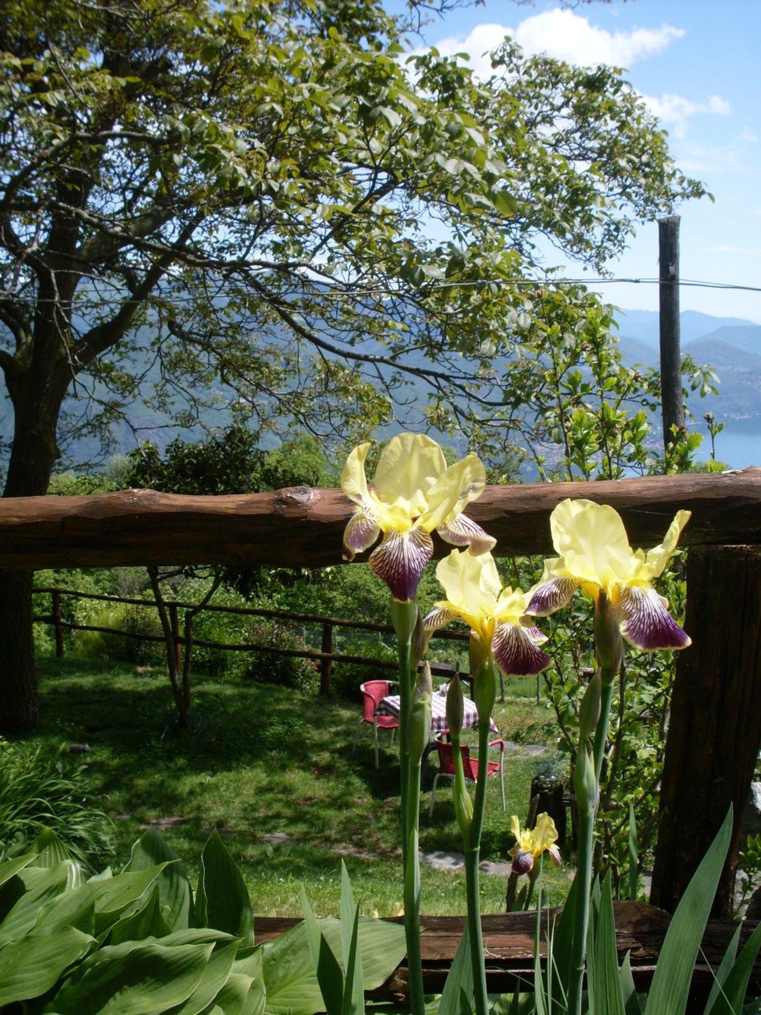 Agriturismo Da Attilio กันโนบีโอ ภายนอก รูปภาพ