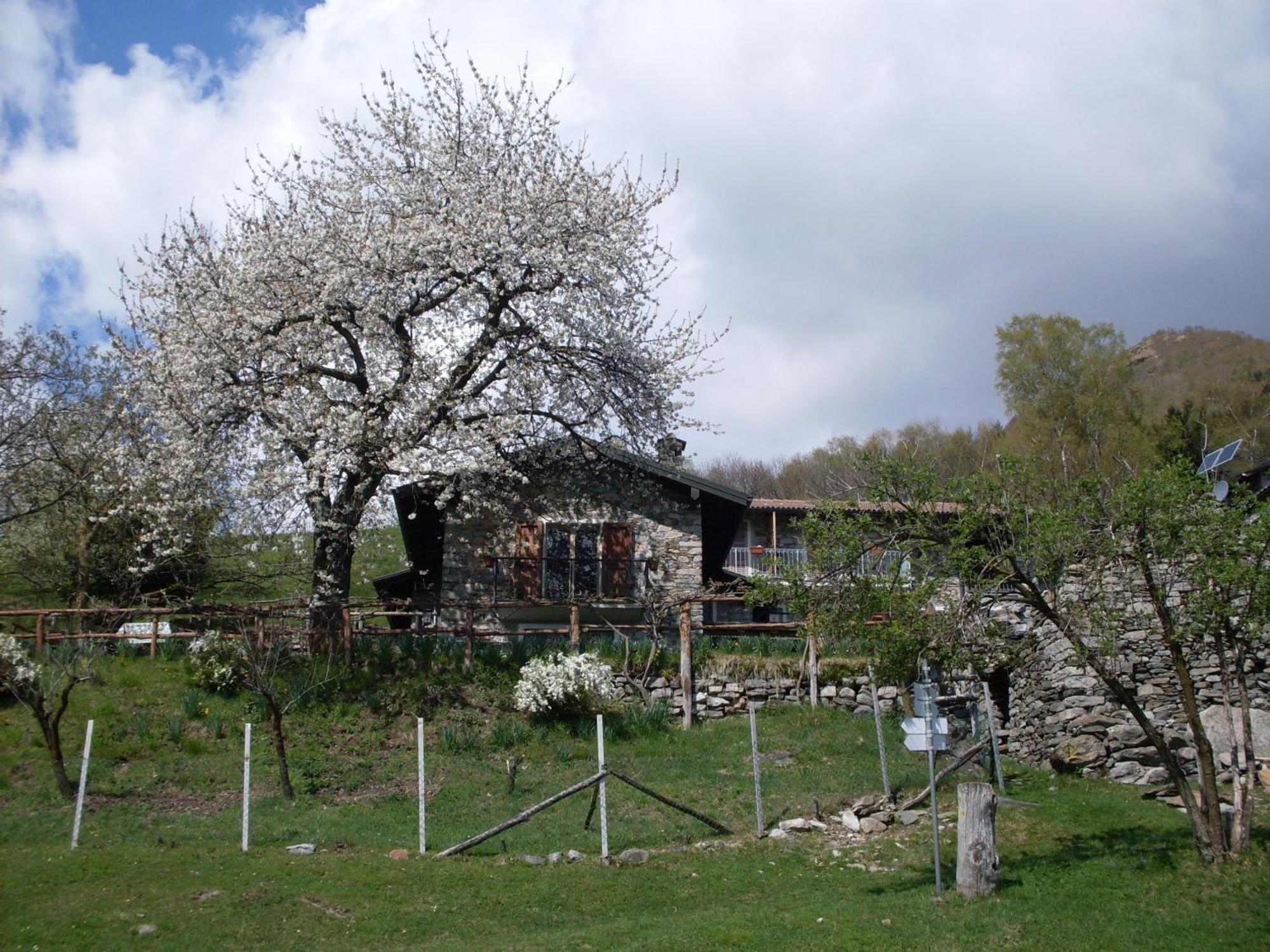 Agriturismo Da Attilio กันโนบีโอ ภายนอก รูปภาพ