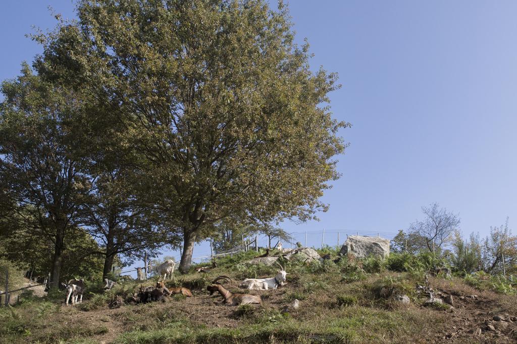 Agriturismo Da Attilio กันโนบีโอ ภายนอก รูปภาพ