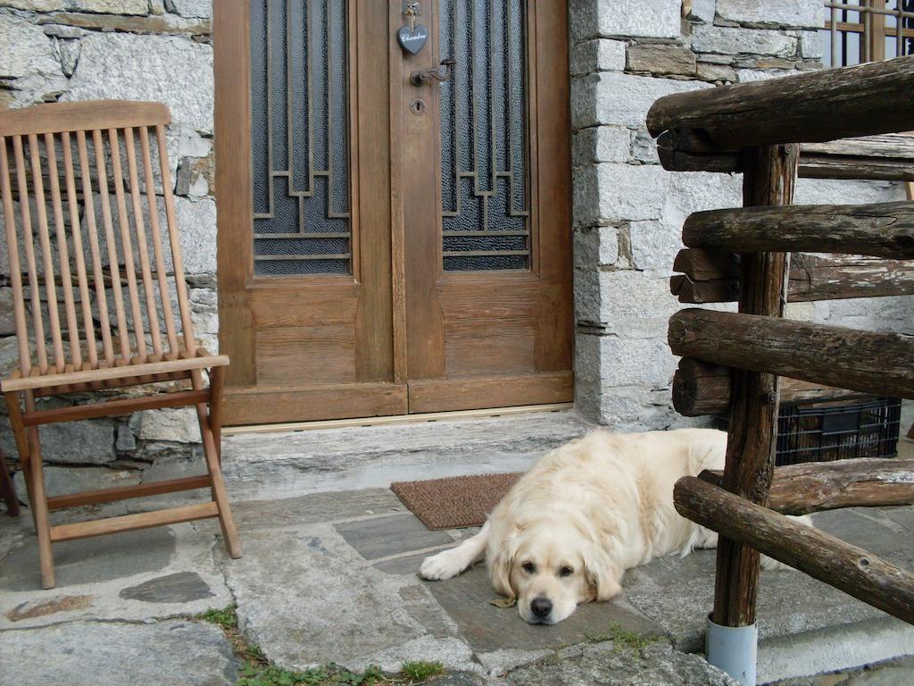 Agriturismo Da Attilio กันโนบีโอ ห้อง รูปภาพ