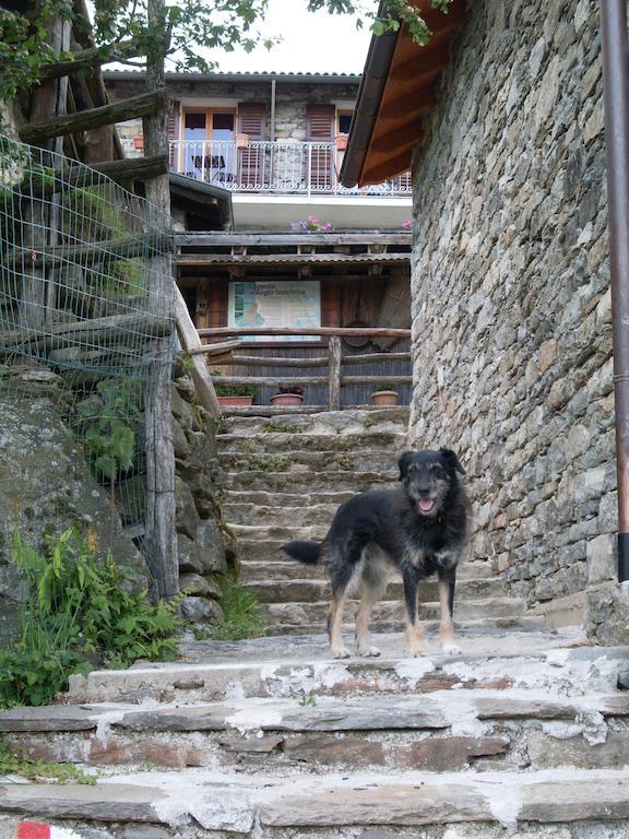 Agriturismo Da Attilio กันโนบีโอ ภายนอก รูปภาพ